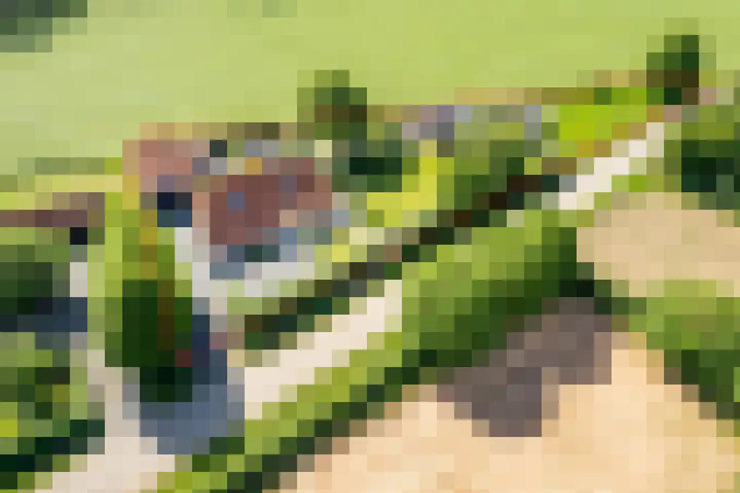 Uilenweg 3 Megchelen thumbnail 82
