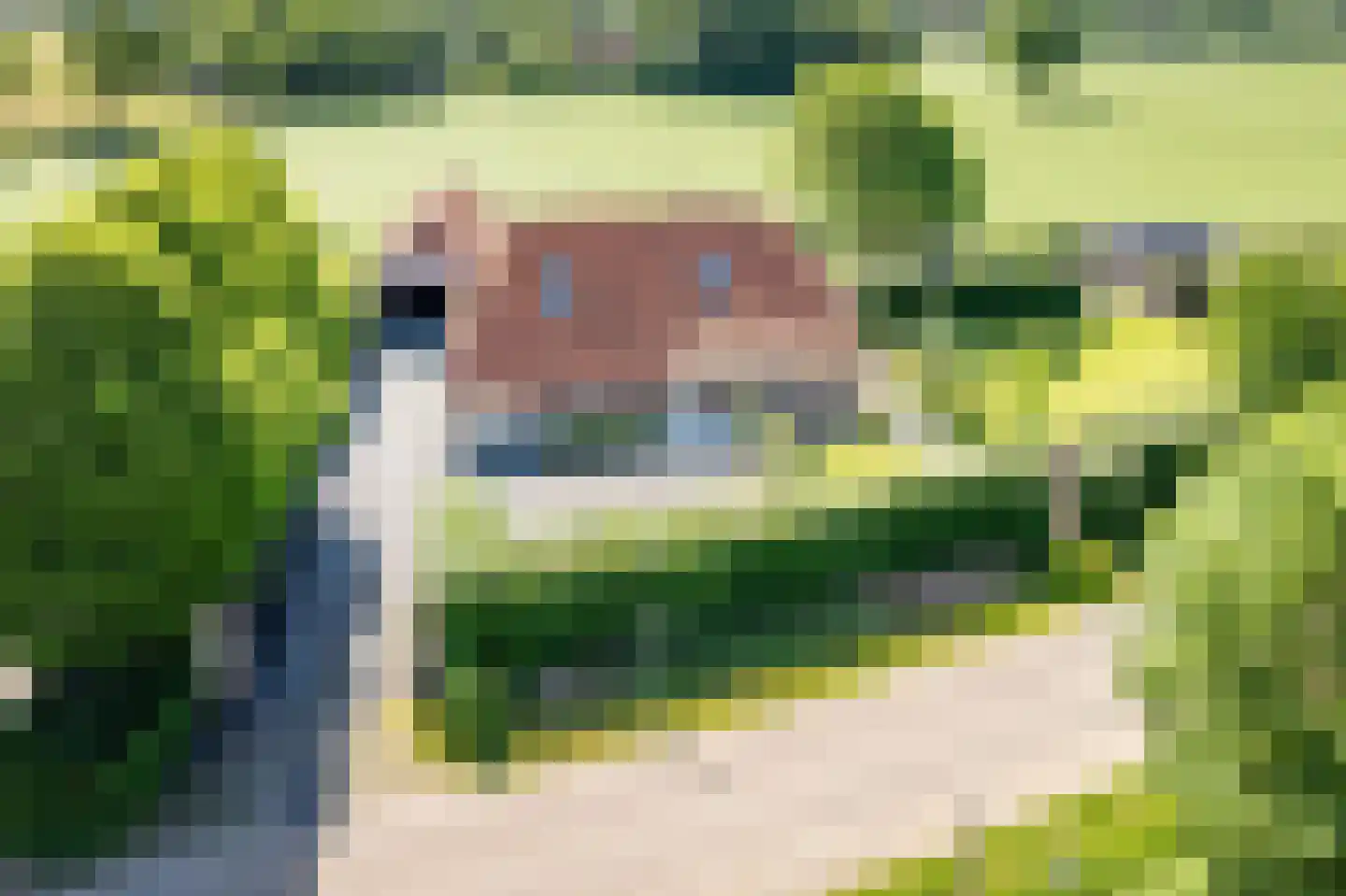 Uilenweg 3 Megchelen thumbnail 83