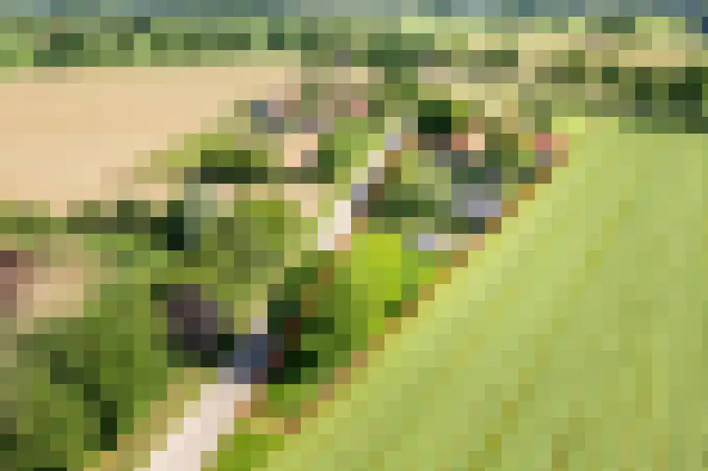 Uilenweg 3 Megchelen thumbnail 85