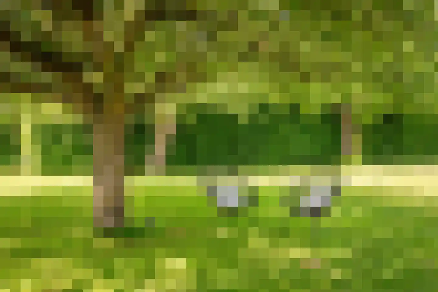 Uilenweg 3 Megchelen thumbnail 89