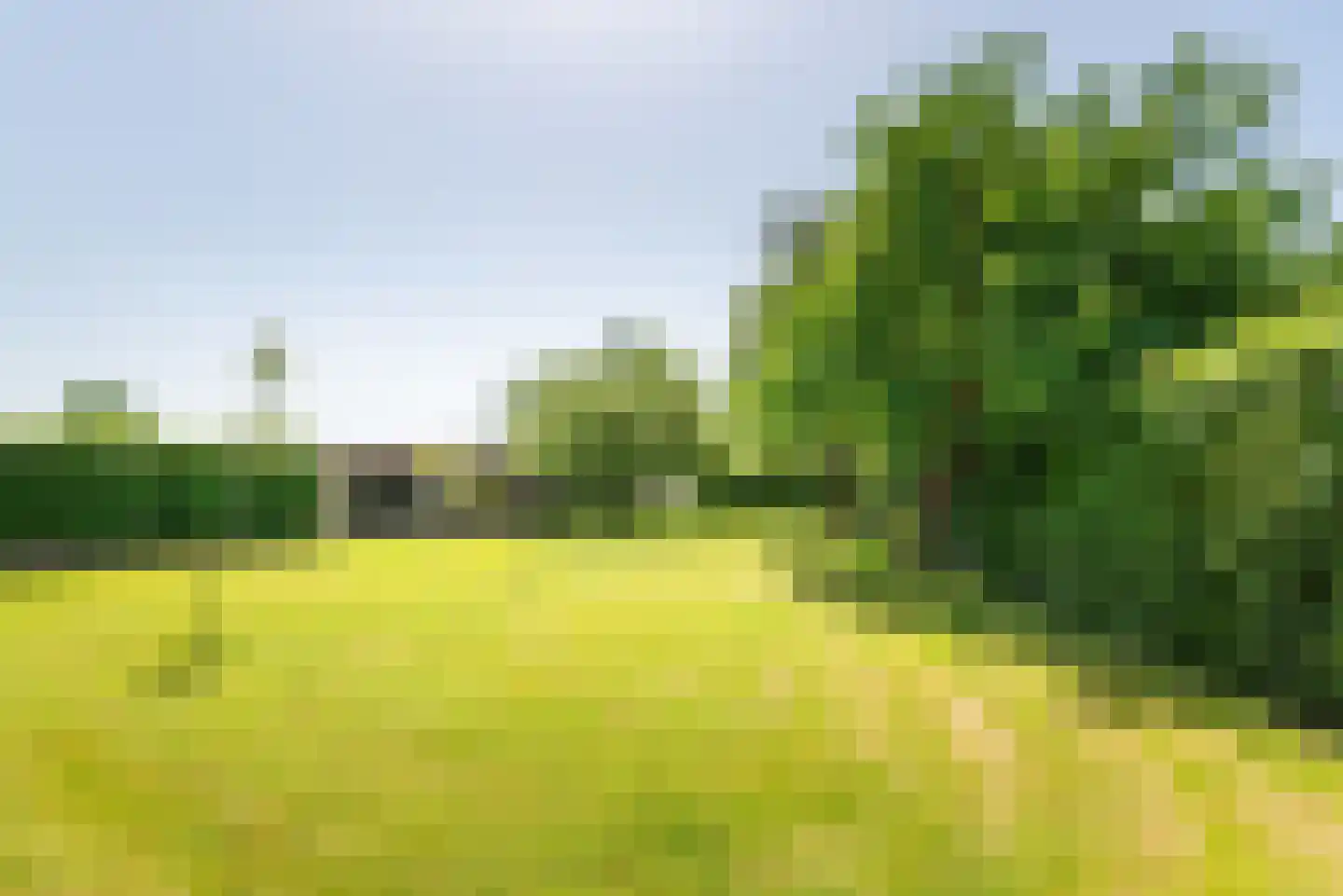 Uilenweg 3 Megchelen thumbnail 91