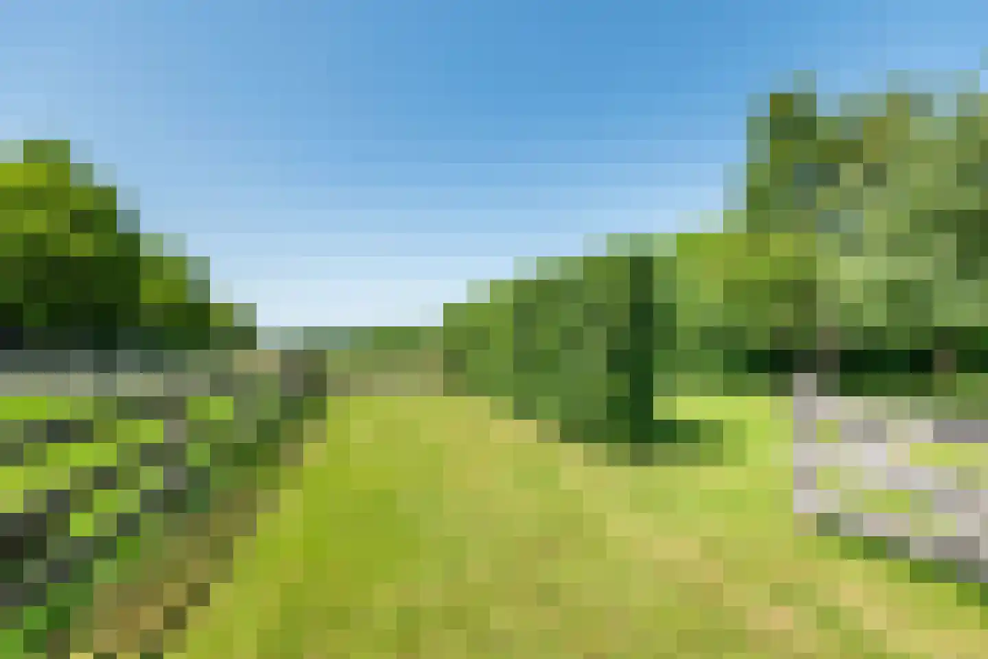 Uilenweg 3 Megchelen thumbnail 92