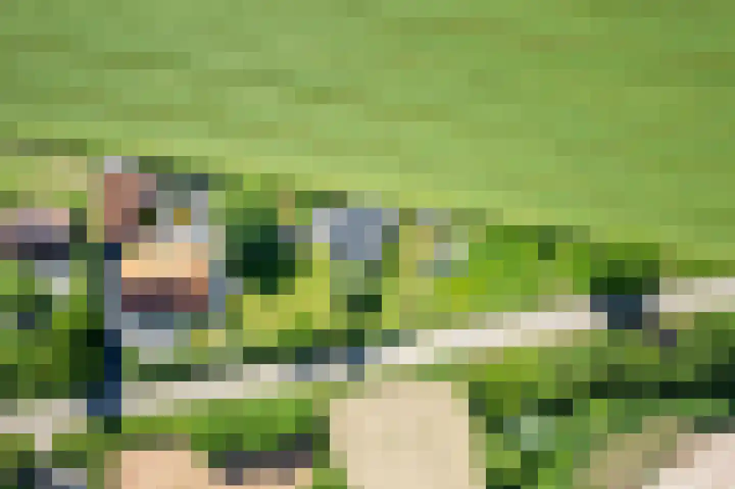 Uilenweg 3 Megchelen thumbnail 95