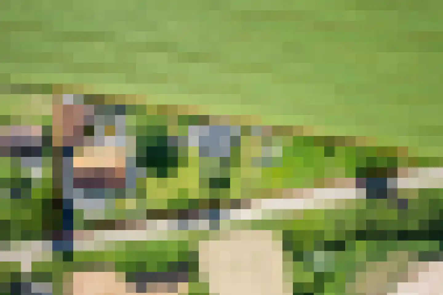 Uilenweg 3 Megchelen thumbnail 96