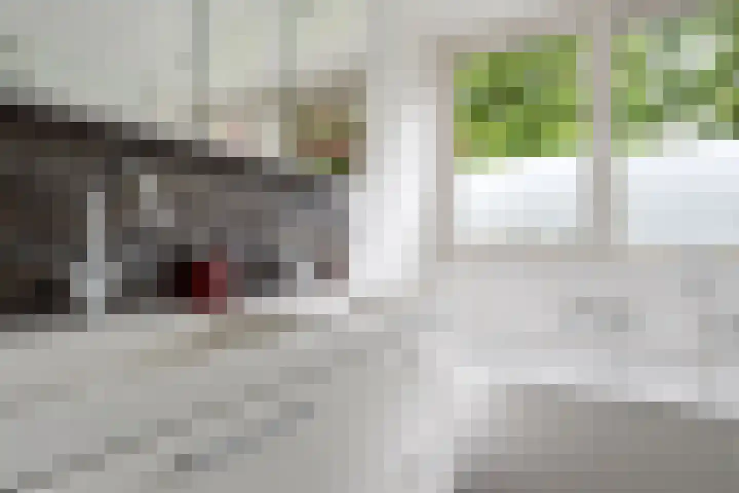 Uilevlucht 22 Heerenveen thumbnail 25