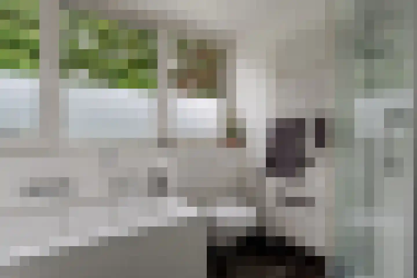 Uilevlucht 22 Heerenveen thumbnail 26