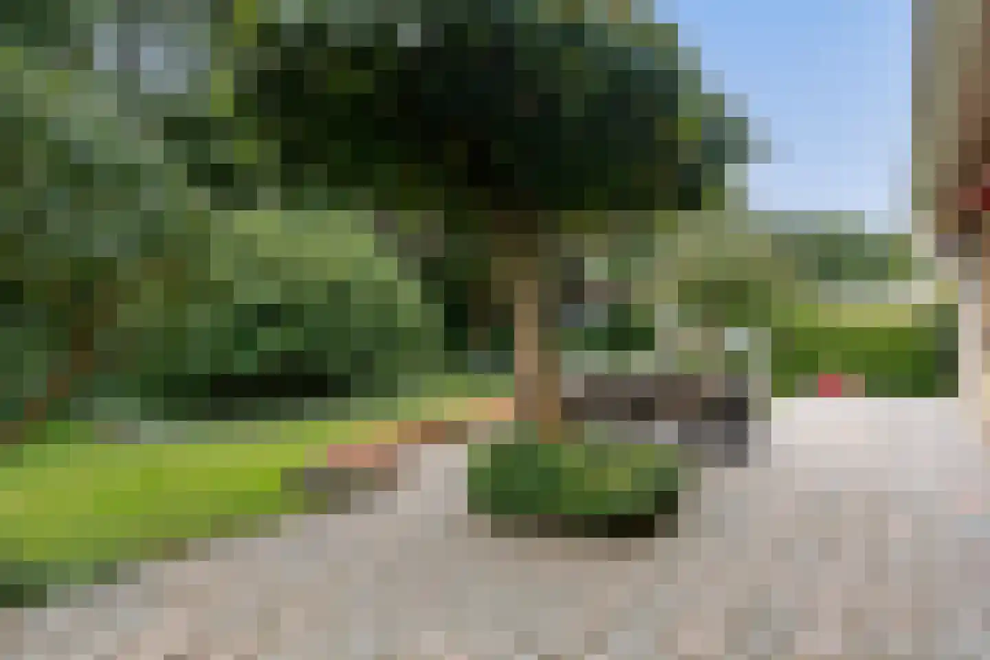 Uilevlucht 22 Heerenveen thumbnail 33