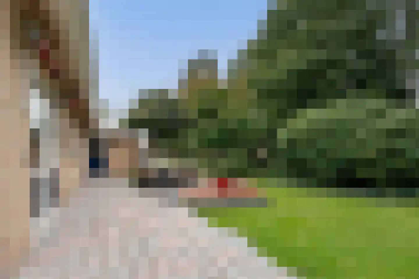 Uilevlucht 22 Heerenveen thumbnail 34