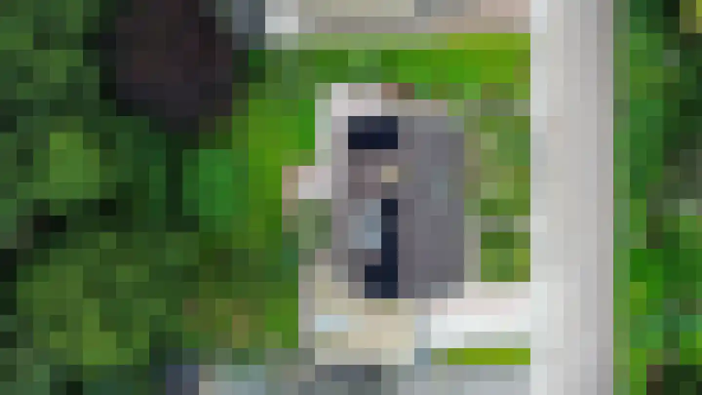 Uilevlucht 22 Heerenveen thumbnail 37
