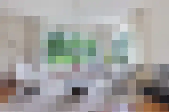 Uilke Boonstralaan 28 Joure thumbnail 10