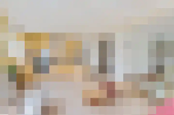 Uilke Boonstralaan 28 Joure thumbnail 17