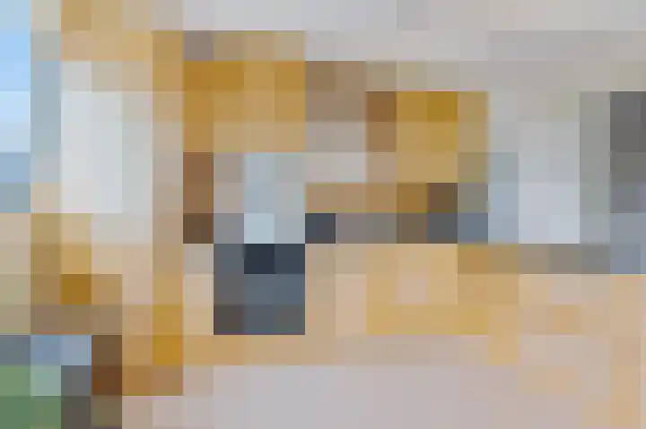 Uilke Boonstralaan 28 Joure thumbnail 18