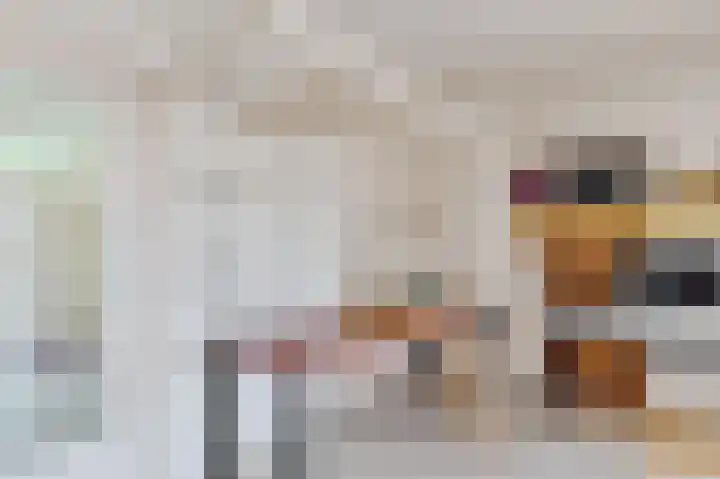 Uilke Boonstralaan 28 Joure thumbnail 21