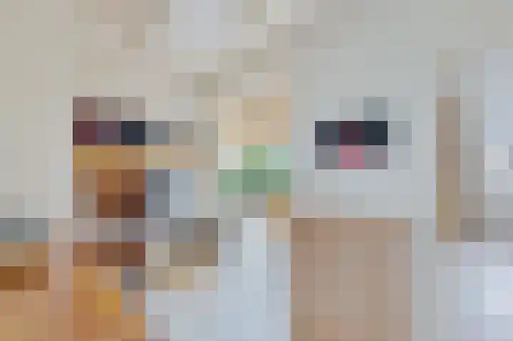 Uilke Boonstralaan 28 Joure thumbnail 22