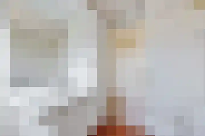 Uilke Boonstralaan 28 Joure thumbnail 30