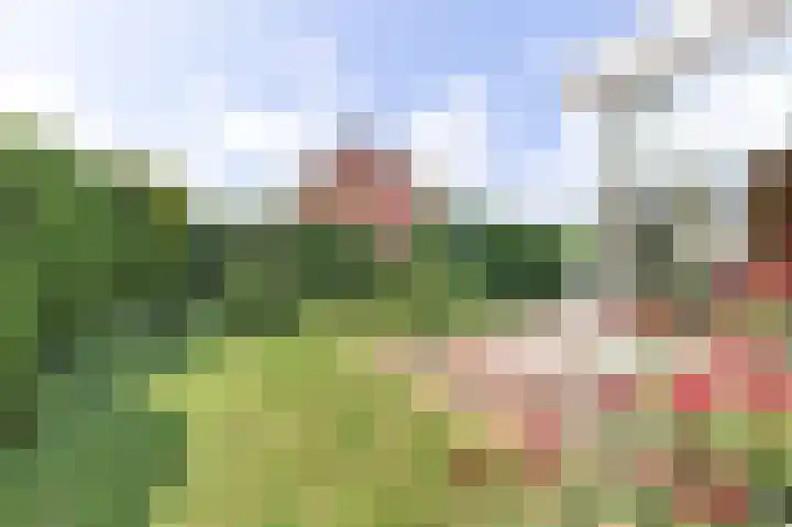 Uilke Boonstralaan 28 Joure thumbnail 39