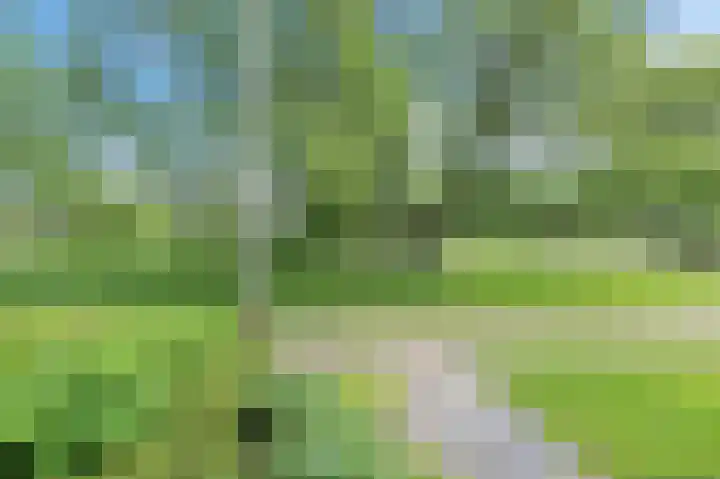 Uilke Boonstralaan 28 Joure thumbnail 5