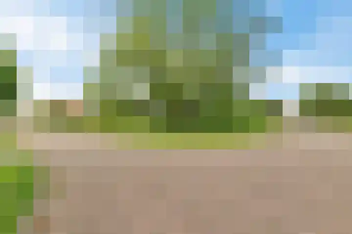 Uilke Boonstralaan 28 Joure thumbnail 6