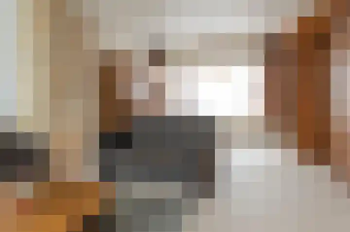 Uilke Boonstralaan 6 Joure thumbnail 10