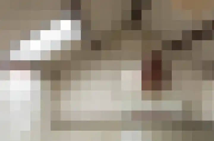 Uilke Boonstralaan 6 Joure thumbnail 26