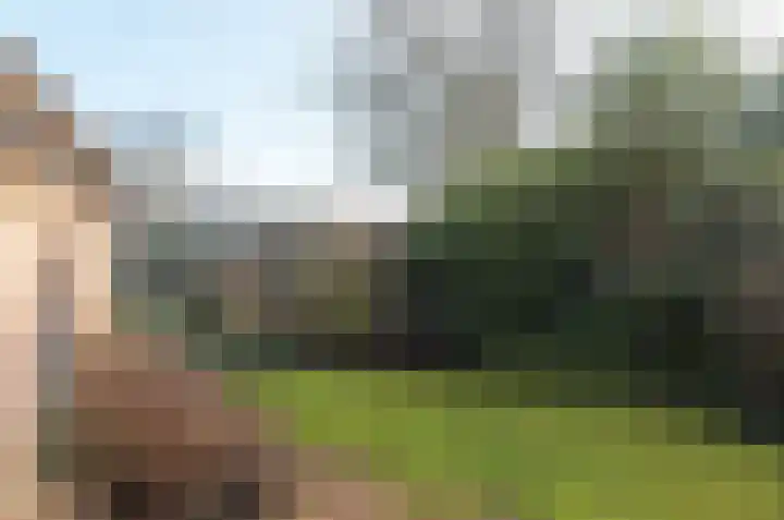 Uilke Boonstralaan 6 Joure thumbnail 30