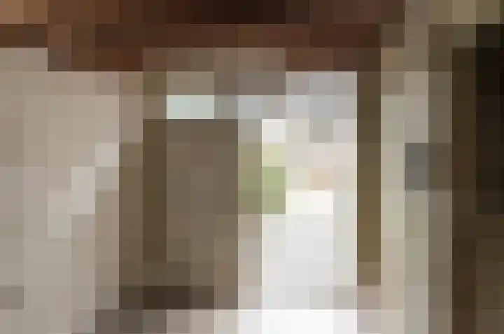 Uilke Boonstralaan 6 Joure thumbnail 32