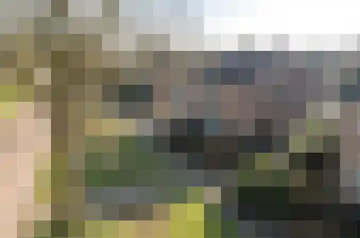 Uilke Boonstralaan 6 Joure thumbnail 34