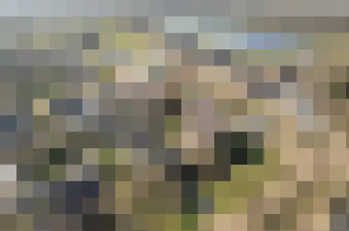 Uilke Boonstralaan 6 Joure thumbnail 35