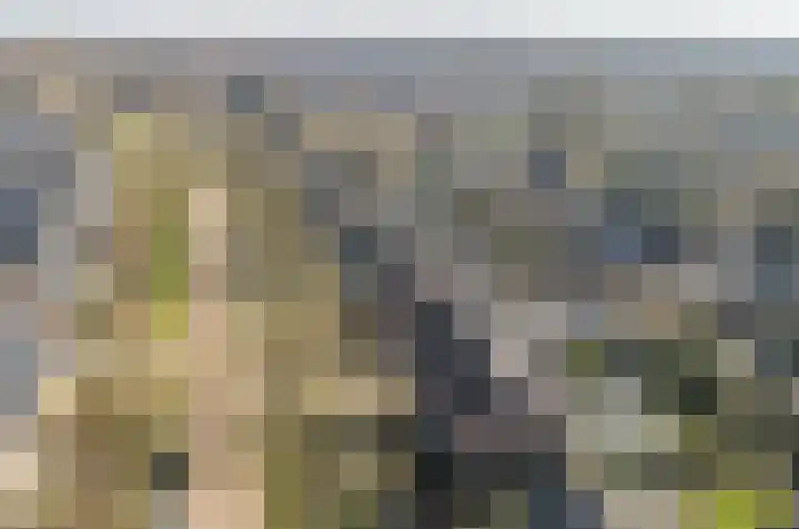 Uilke Boonstralaan 6 Joure thumbnail 36