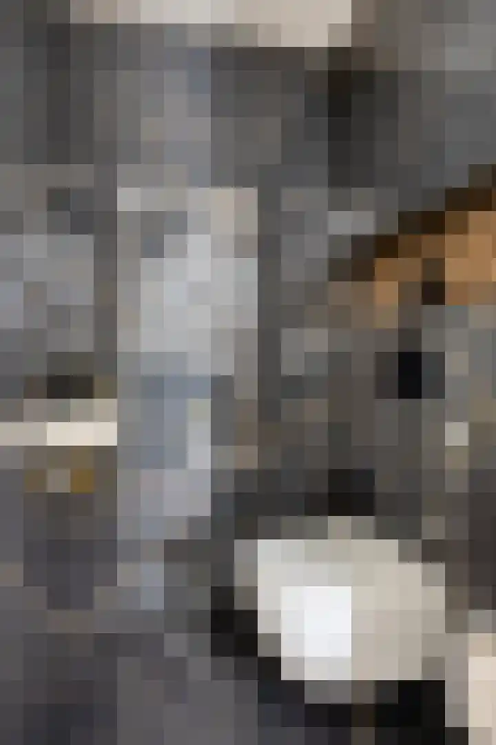 Uilkerweg 23 Zuilichem thumbnail 23