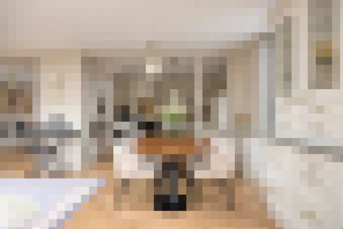Uilkerweg 23 Zuilichem thumbnail 32