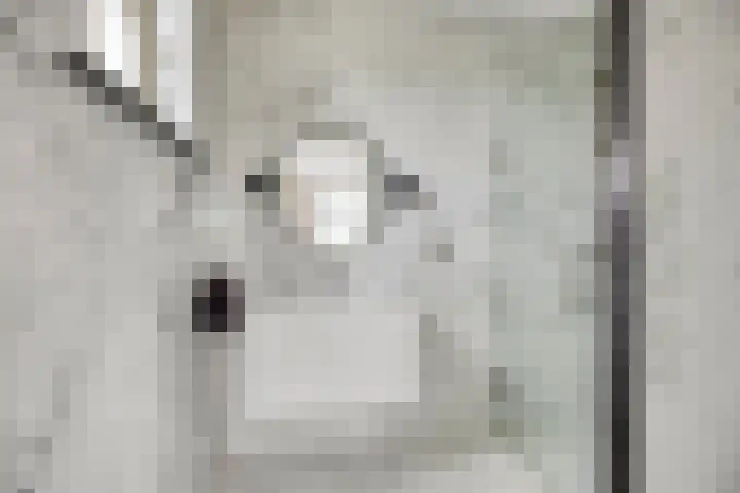 Uilkerweg 23 Zuilichem thumbnail 38