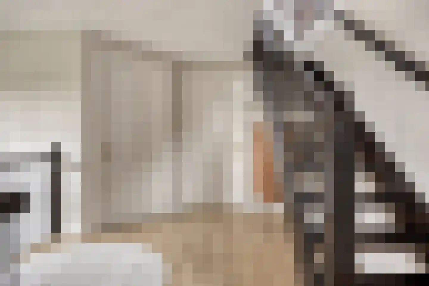 Uilkerweg 23 Zuilichem thumbnail 41