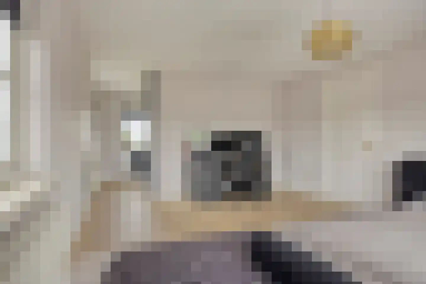 Uilkerweg 23 Zuilichem thumbnail 43