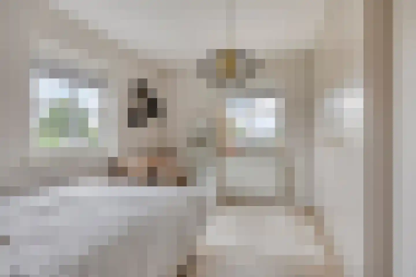 Uilkerweg 23 Zuilichem thumbnail 46