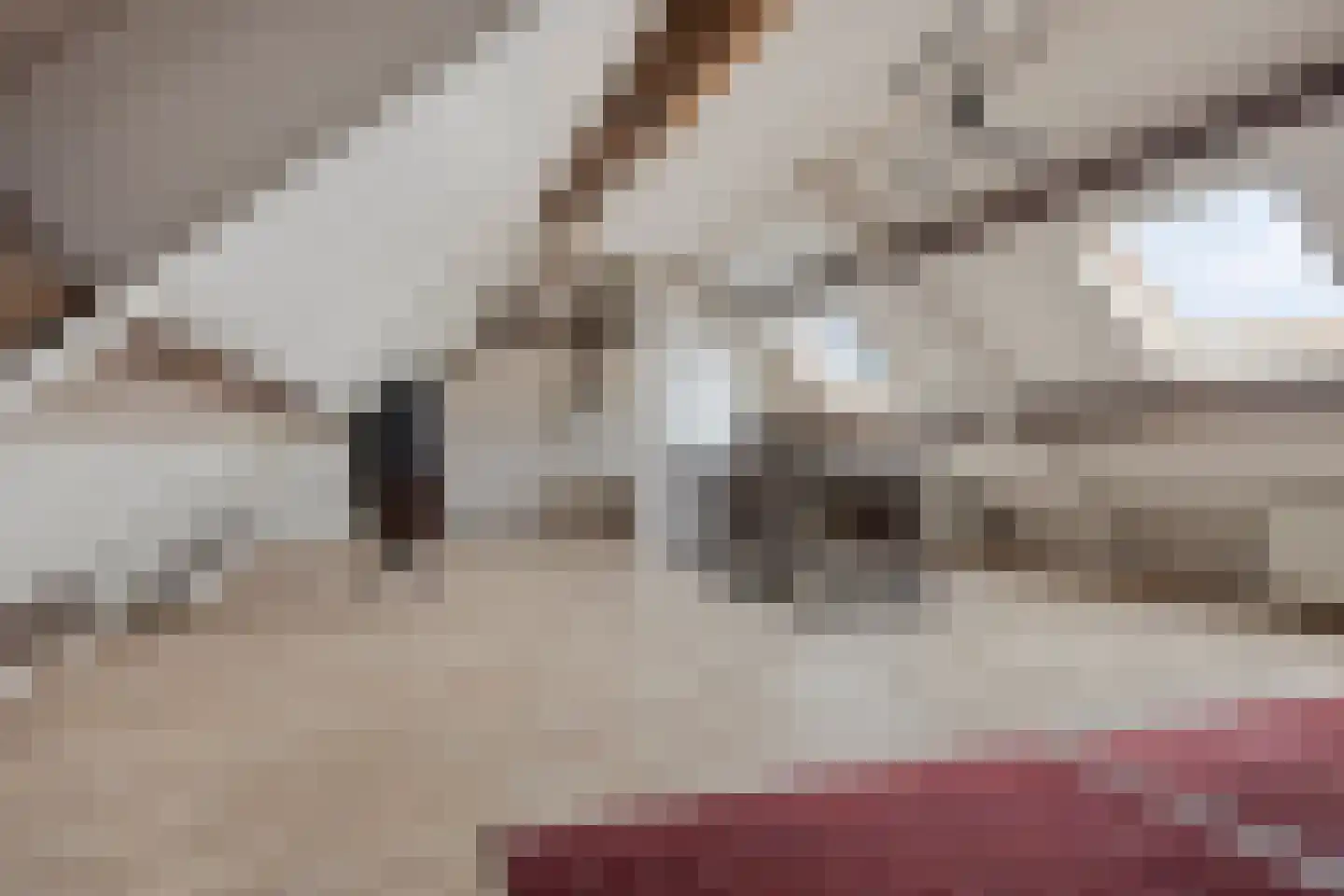 Uilkerweg 23 Zuilichem thumbnail 50