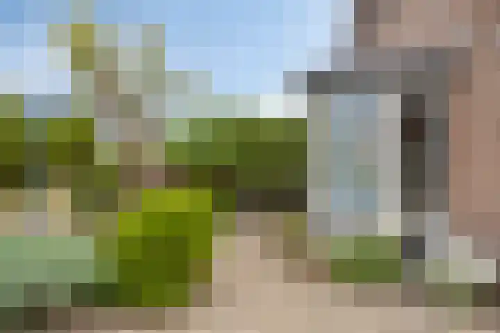 Uilland 10 Boven-Leeuwen thumbnail 13