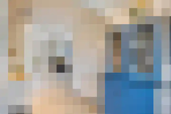 Uilland 10 Boven-Leeuwen thumbnail 23