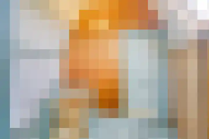 Uilland 10 Boven-Leeuwen thumbnail 27