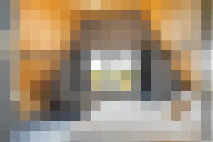 Uilland 10 Boven-Leeuwen thumbnail 30