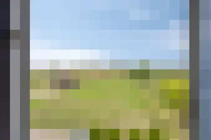 Uilland 10 Boven-Leeuwen thumbnail 32