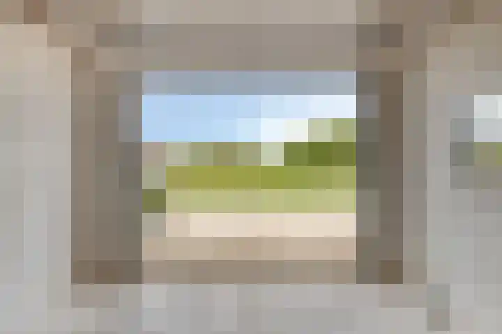 Uilland 10 Boven-Leeuwen thumbnail 35