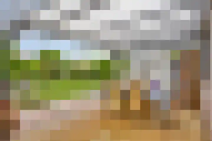 Uilland 10 Boven-Leeuwen thumbnail 36