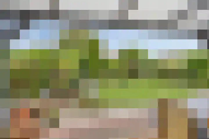 Uilland 10 Boven-Leeuwen thumbnail 37