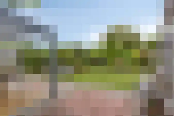 Uilland 10 Boven-Leeuwen thumbnail 39