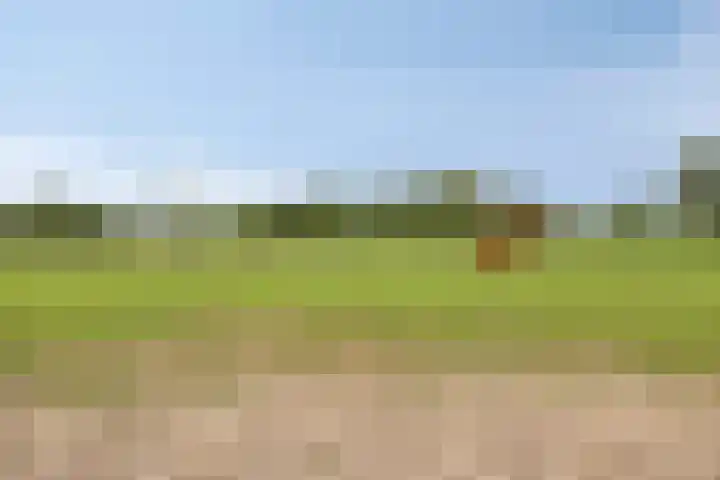 Uilland 10 Boven-Leeuwen thumbnail 42