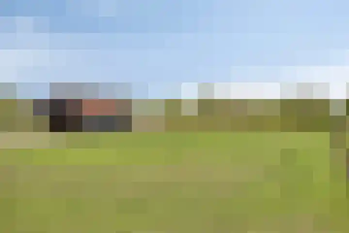 Uilland 10 Boven-Leeuwen thumbnail 43
