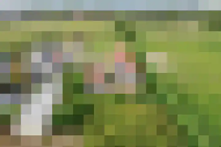 Uilland 10 Boven-Leeuwen thumbnail 8
