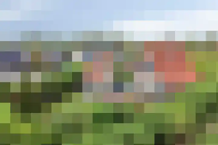 Uilland 10 Boven-Leeuwen thumbnail 9