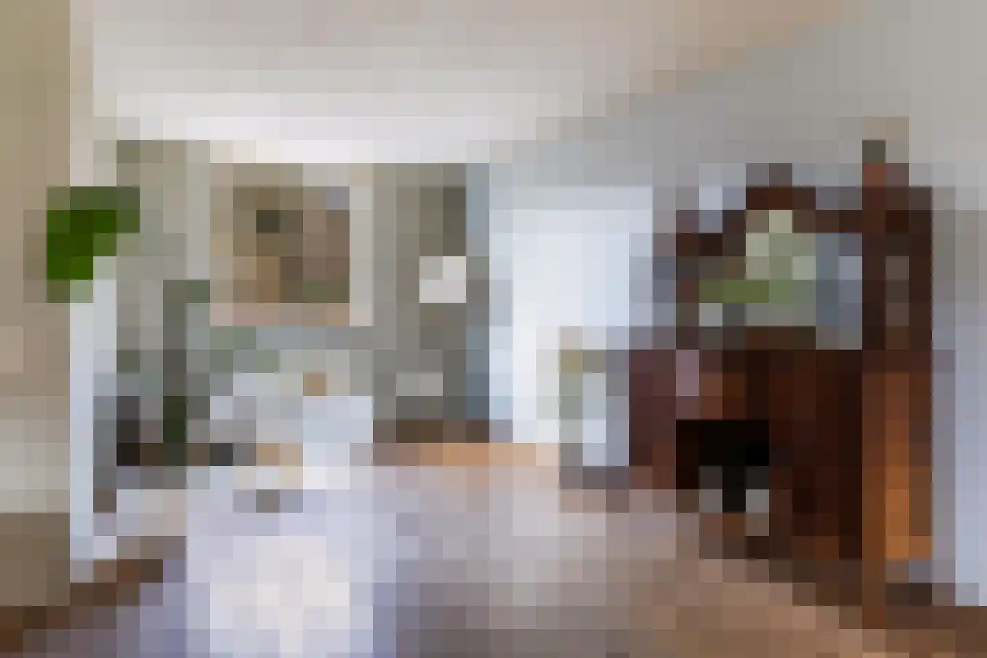 Uilvlinder 22 Amersfoort thumbnail 12